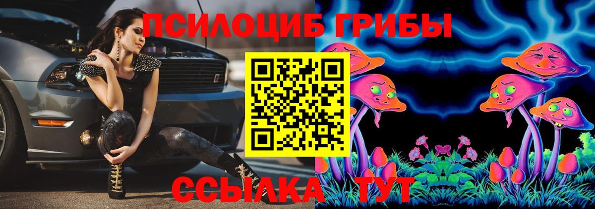 Галлюциногенные грибы прущие грибы Сочи